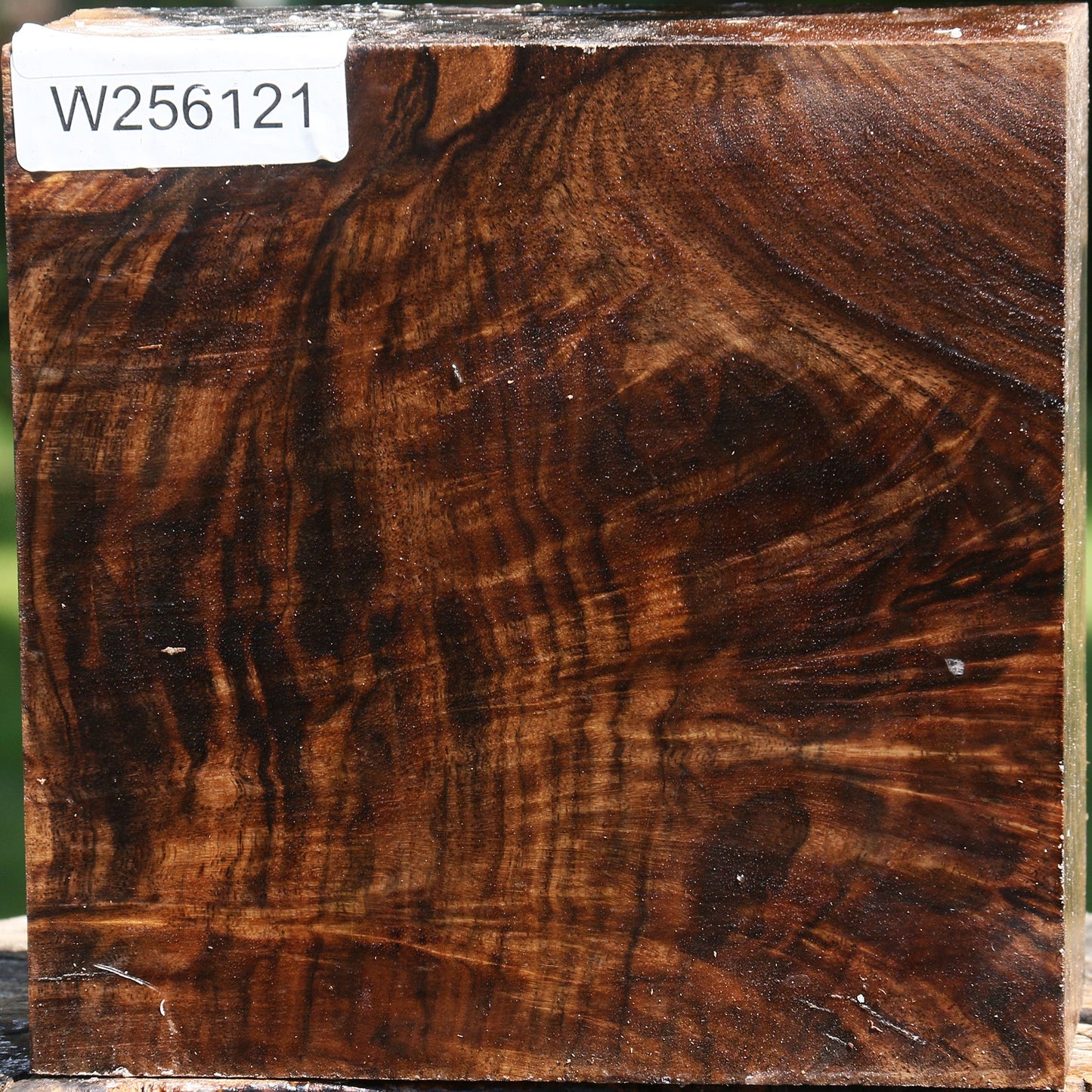 Extra Fancy Claro Walnut Bowl Blank