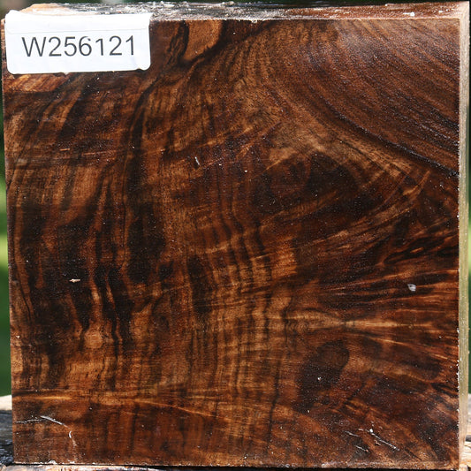 Extra Fancy Claro Walnut Bowl Blank