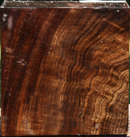 Extra Fancy Claro Walnut Bowl Blank