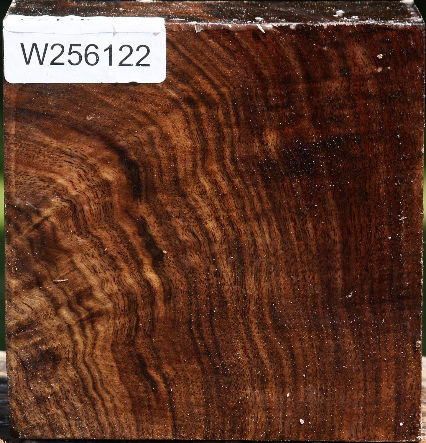 Extra Fancy Claro Walnut Bowl Blank
