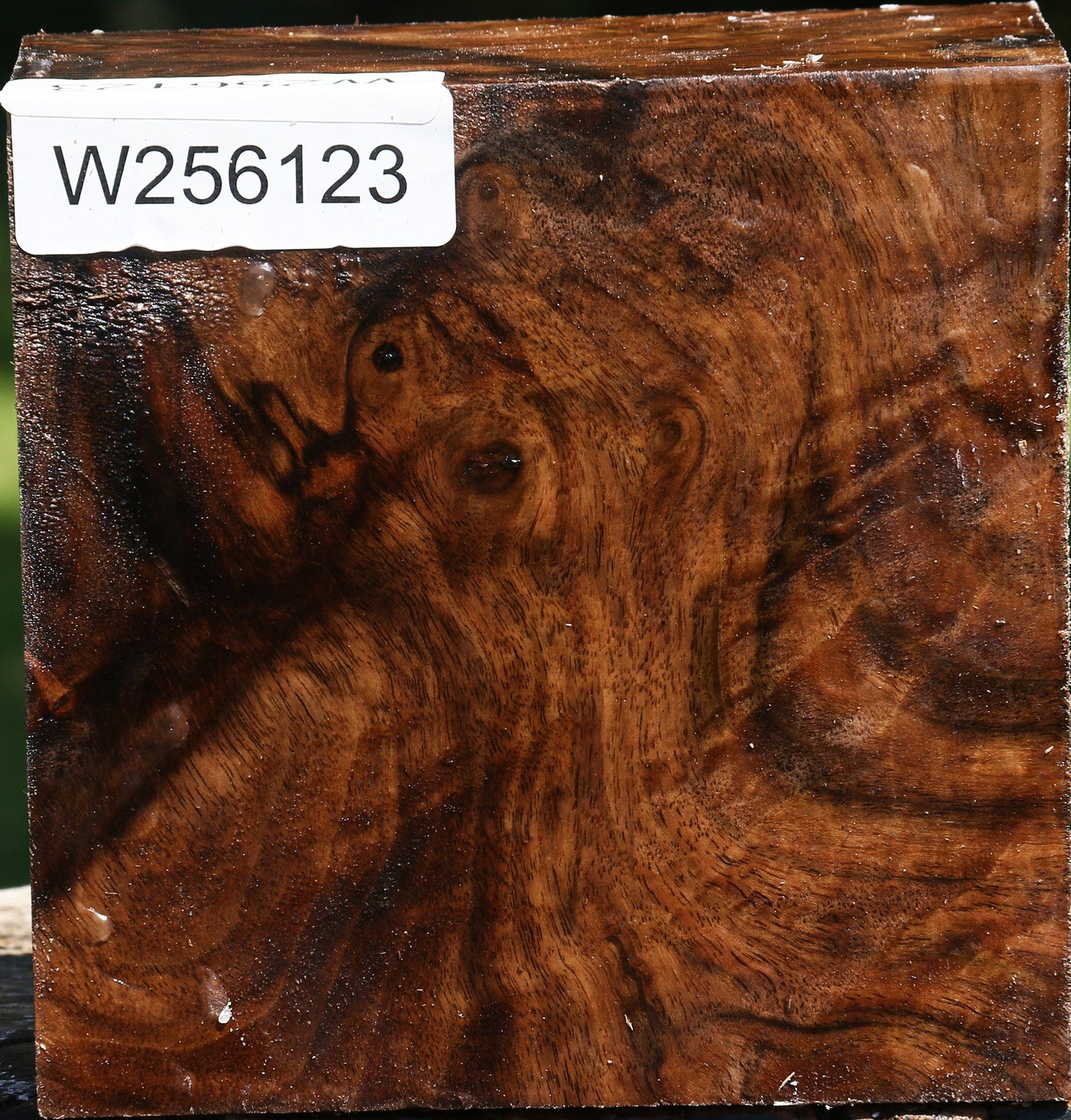 Figured Claro Walnut Bowl Blank