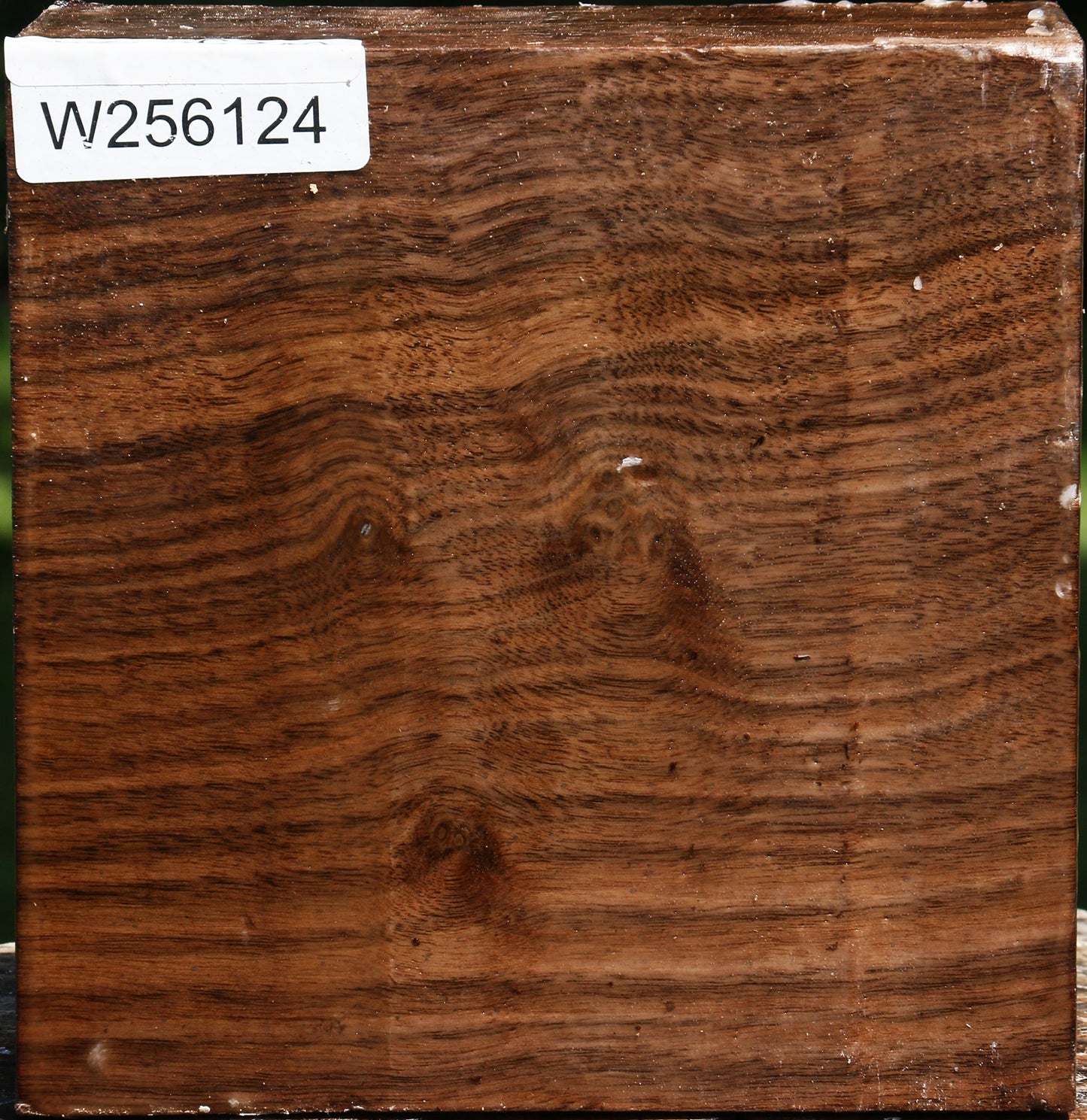 Claro Walnut Bowl Blank