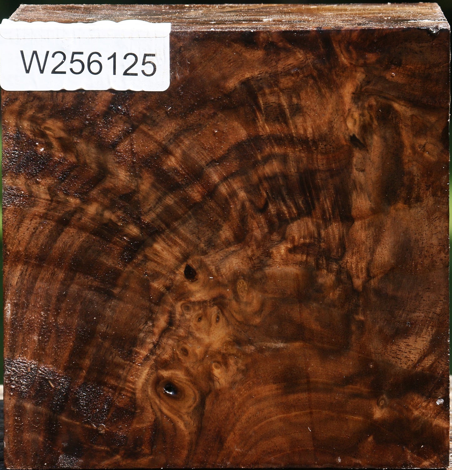 Extra Fancy Claro Walnut Bowl Blank