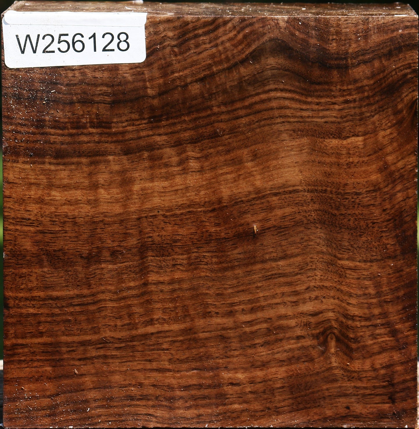 Figured Claro Walnut Bowl Blank
