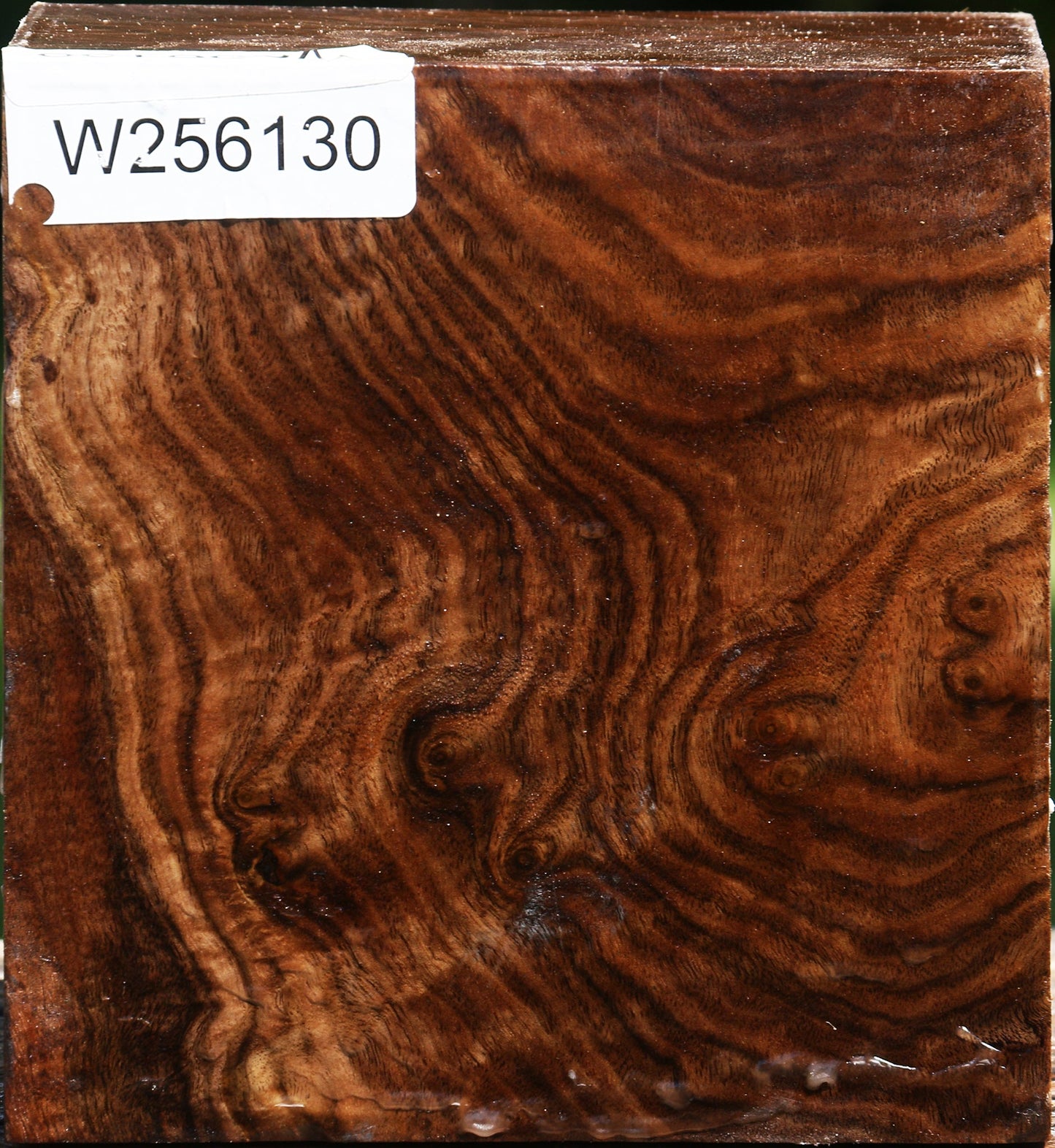 Figured Claro Walnut Bowl Blank