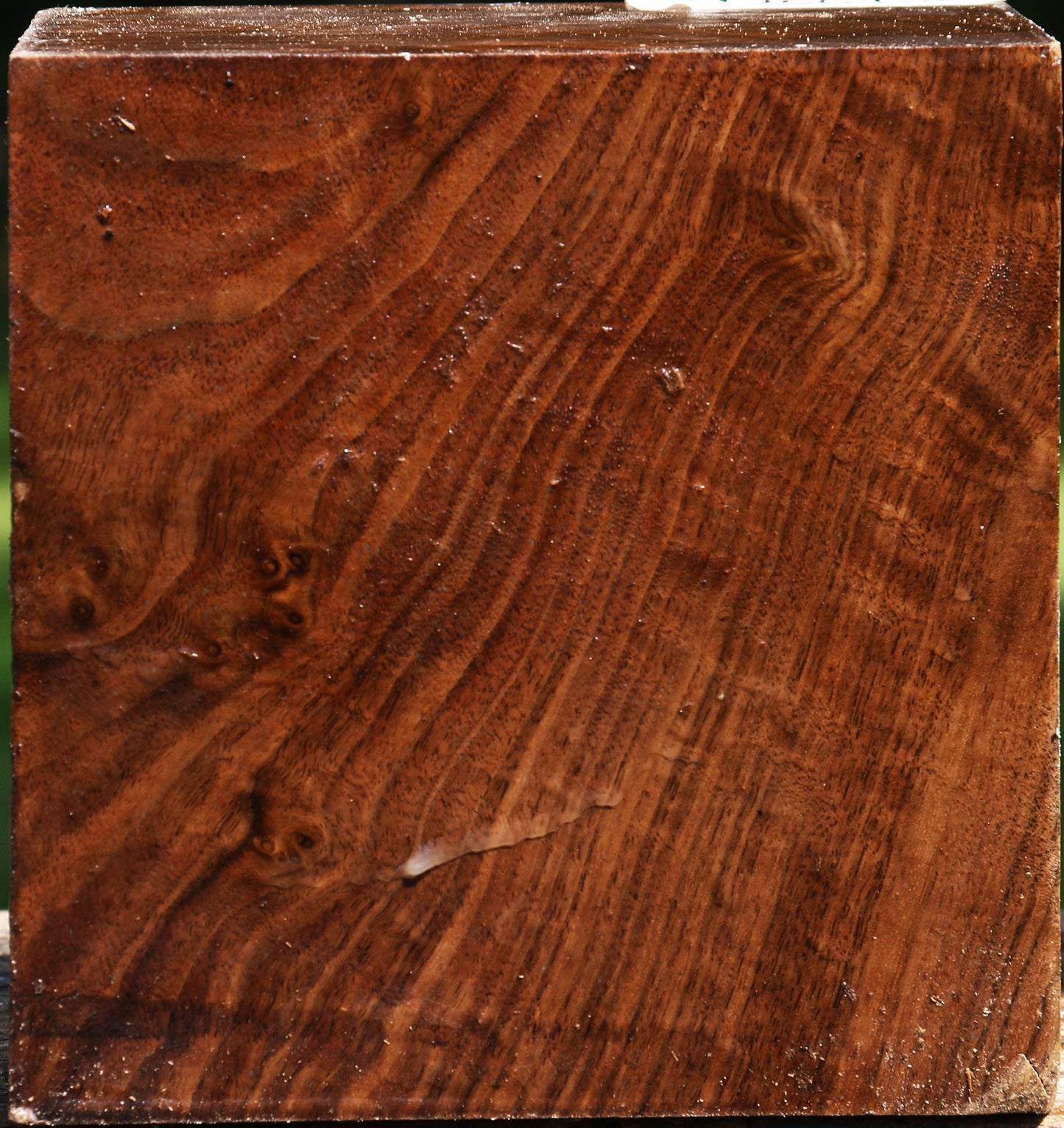 Figured Claro Walnut Bowl Blank