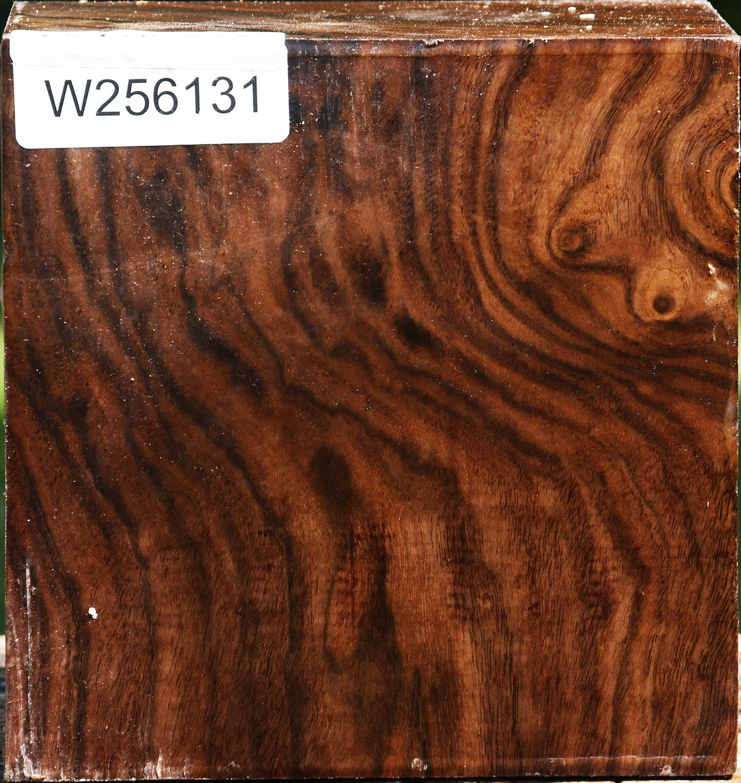 Claro Walnut Bowl Blank