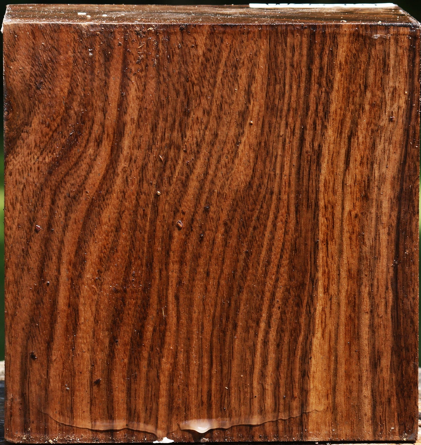 Claro Walnut Bowl Blank