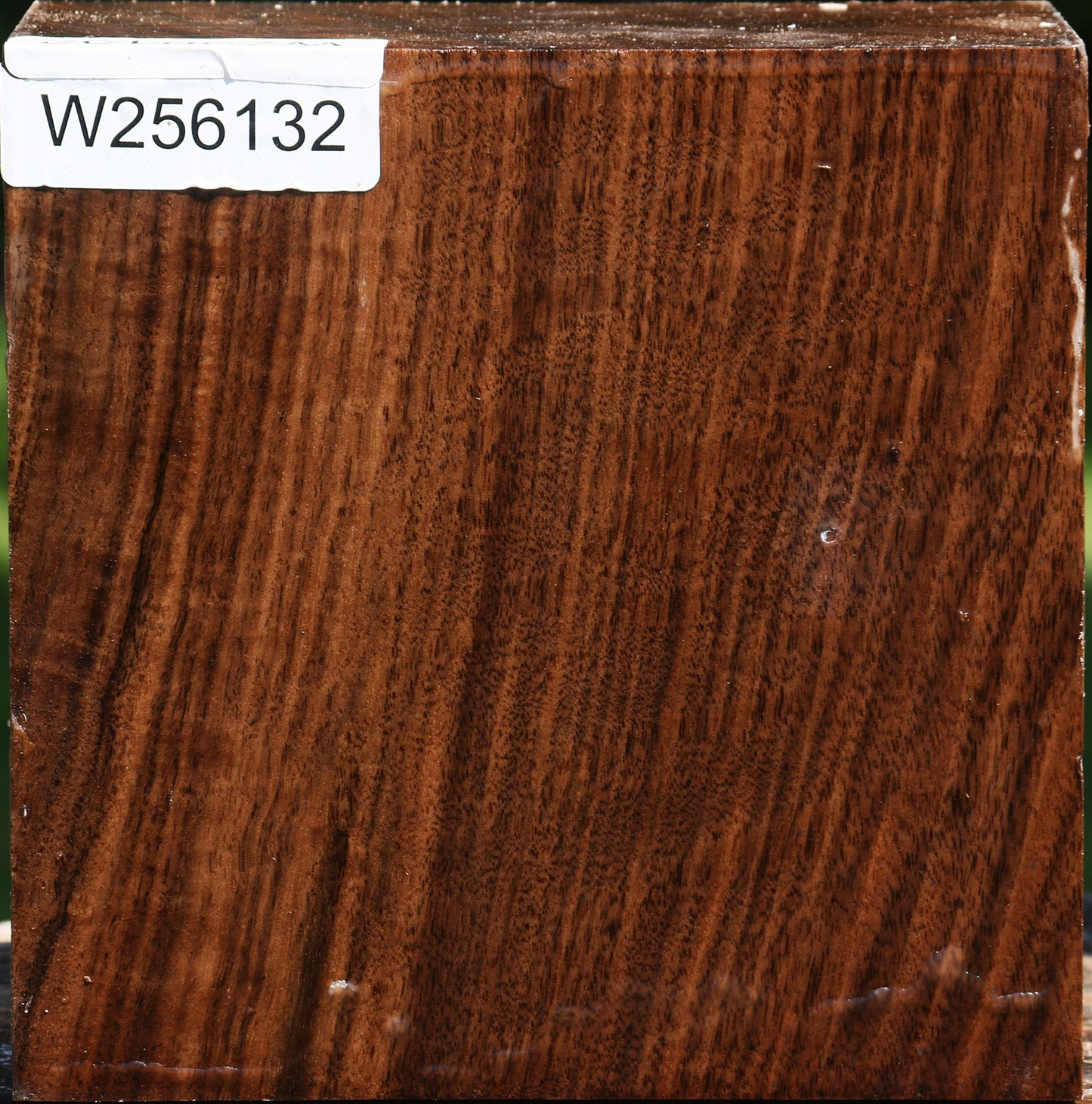 Claro Walnut Bowl Blank