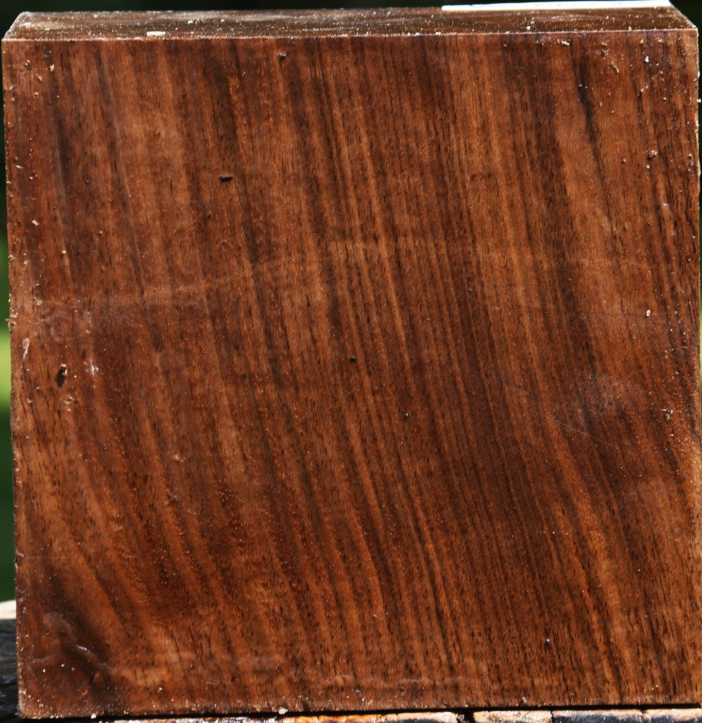 Claro Walnut Bowl Blank