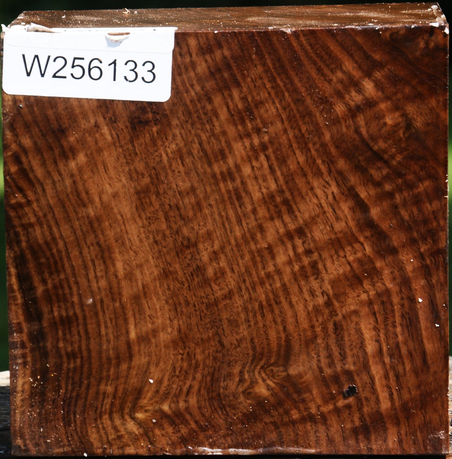 Figured Claro Walnut Bowl Blank