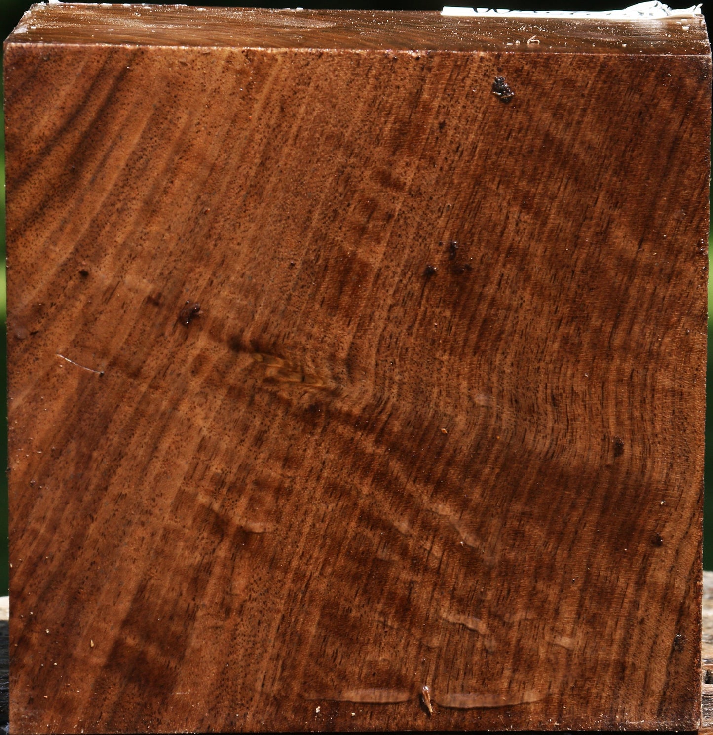 Figured Claro Walnut Bowl Blank