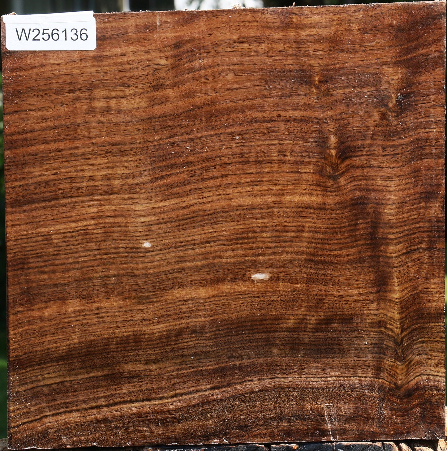 Figured Claro Walnut Bowl Blank