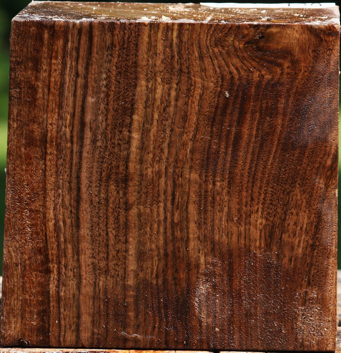 Claro Walnut Bowl Blank