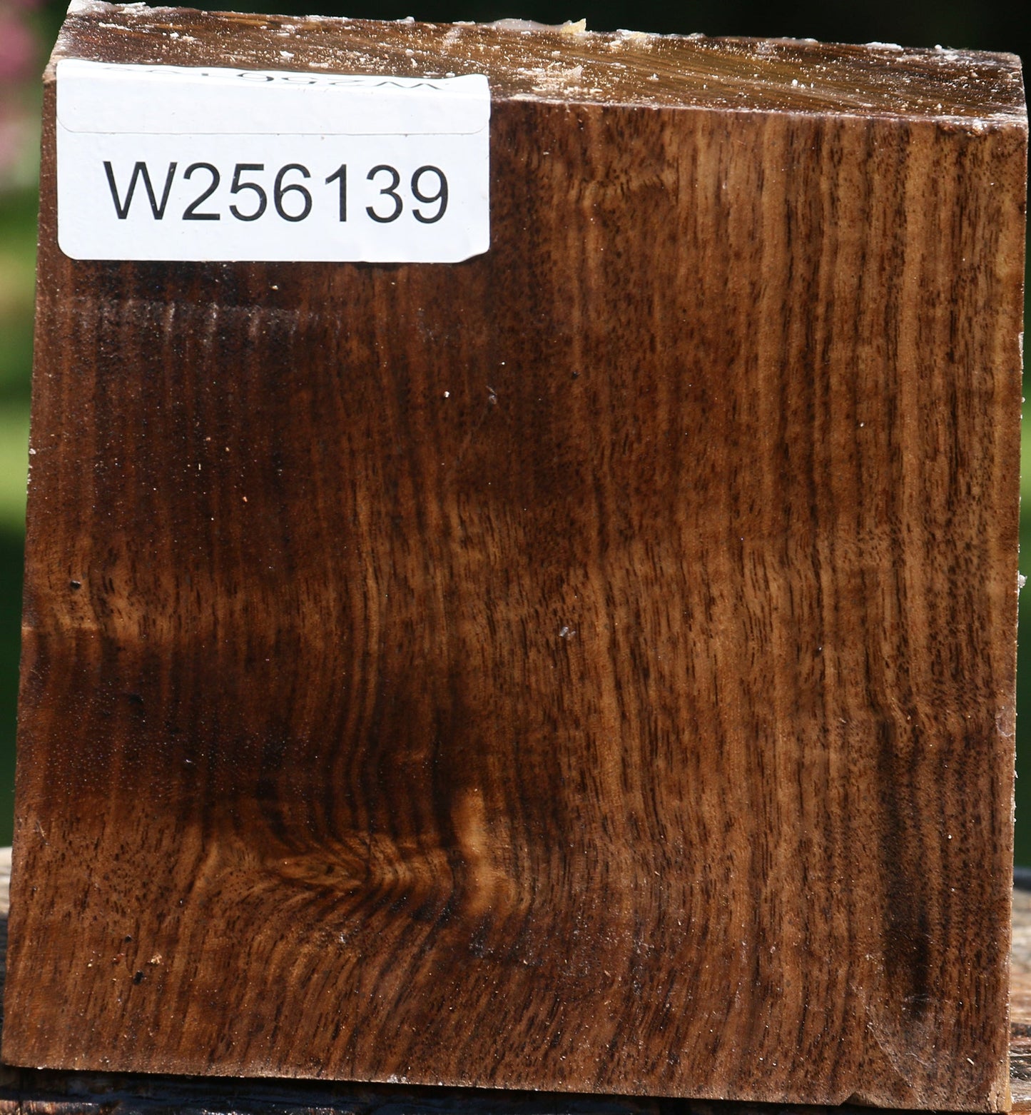 Claro Walnut Bowl Blank