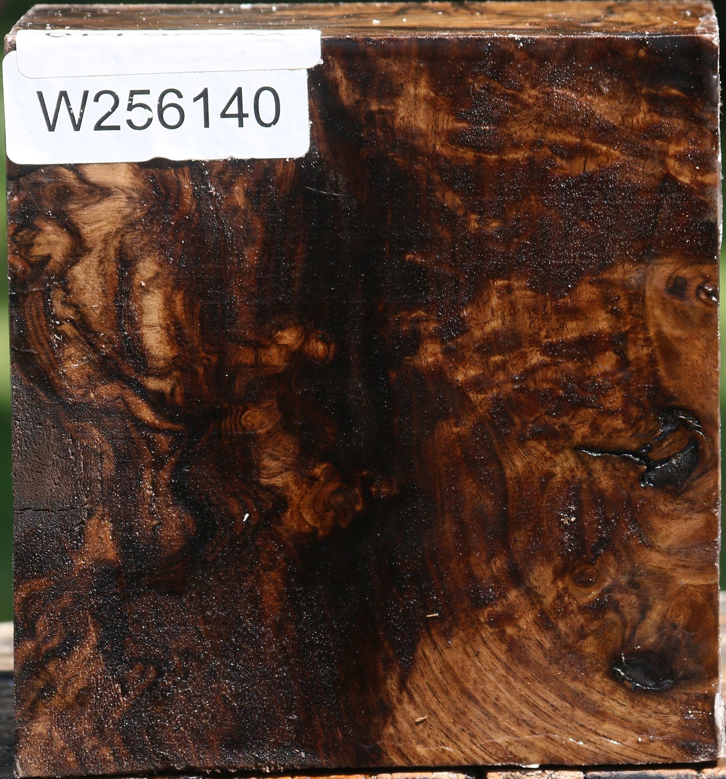 Extra Fancy Claro Walnut Bowl Blank