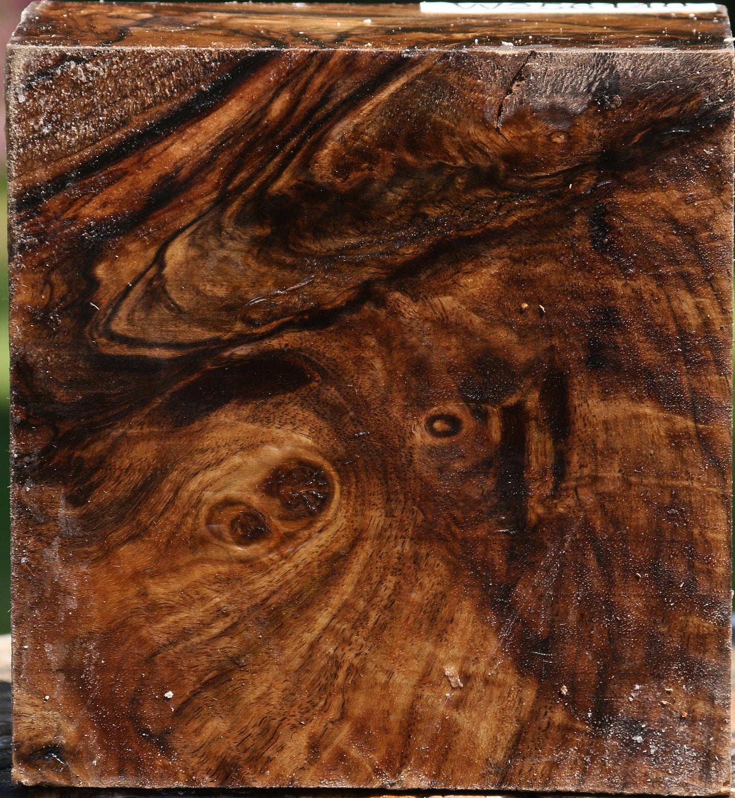 Extra Fancy Claro Walnut Bowl Blank