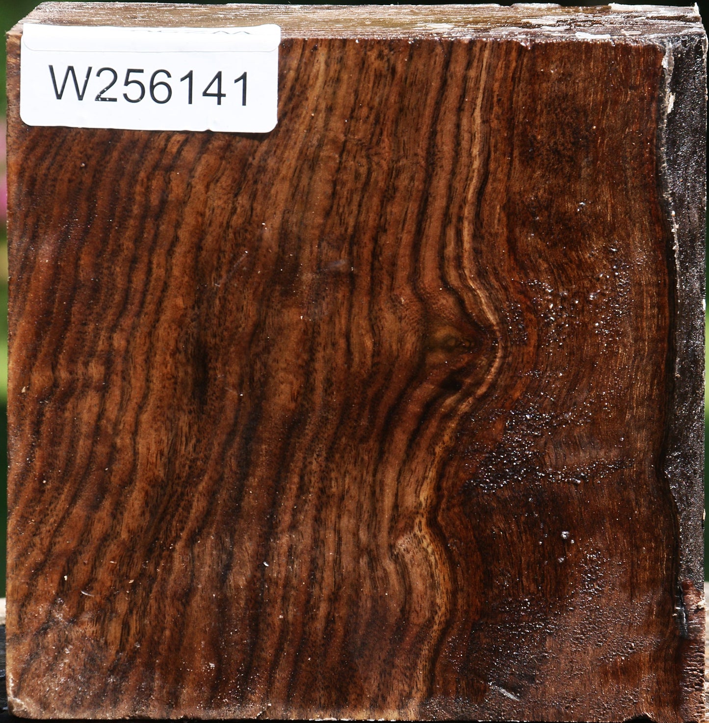 Claro Walnut Bowl Blank