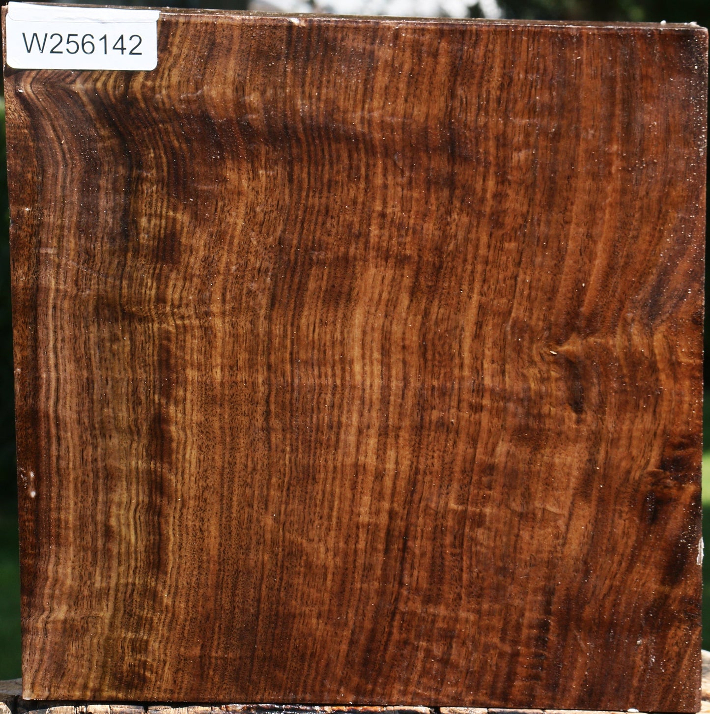 Figured Claro Walnut Bowl Blank