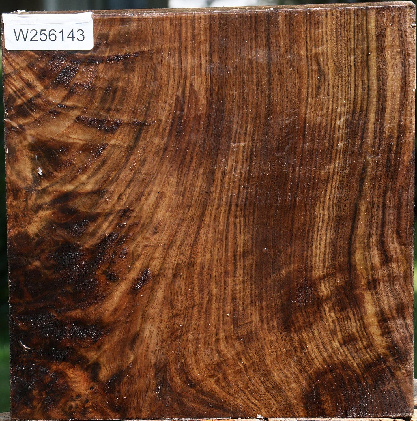 Figured Claro Walnut Bowl Blank