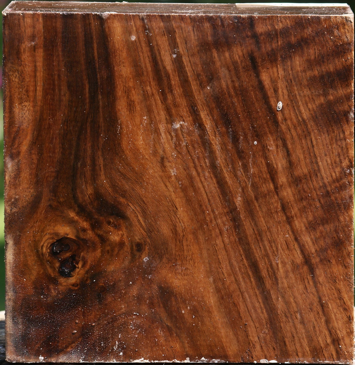 Claro Walnut Bowl Blank
