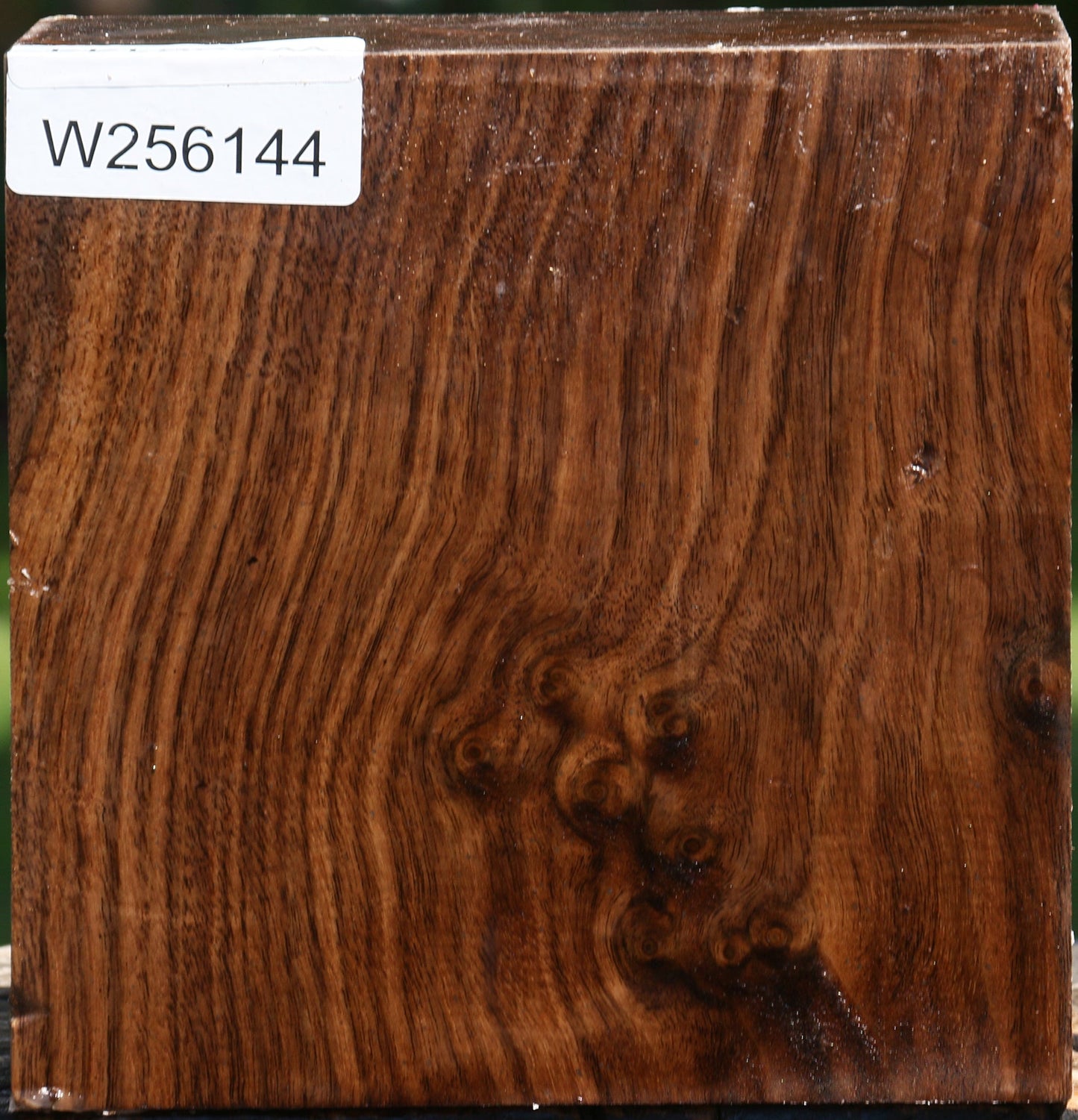 Claro Walnut Bowl Blank