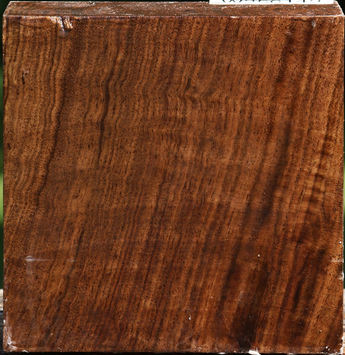 Figured Claro Walnut Bowl Blank