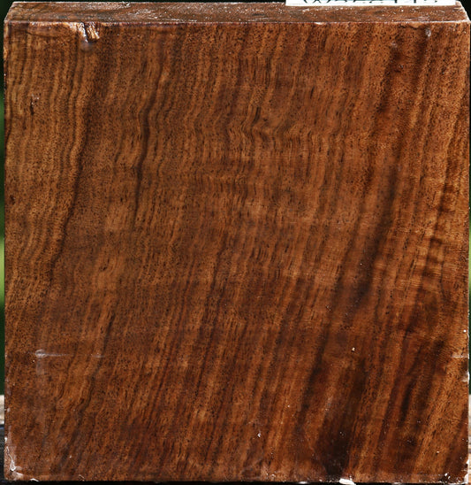Figured Claro Walnut Bowl Blank