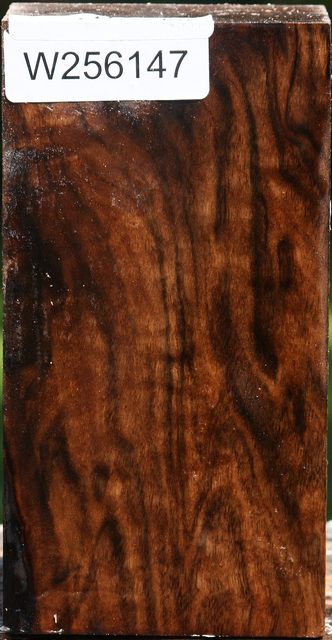 Claro Walnut Turning Blank