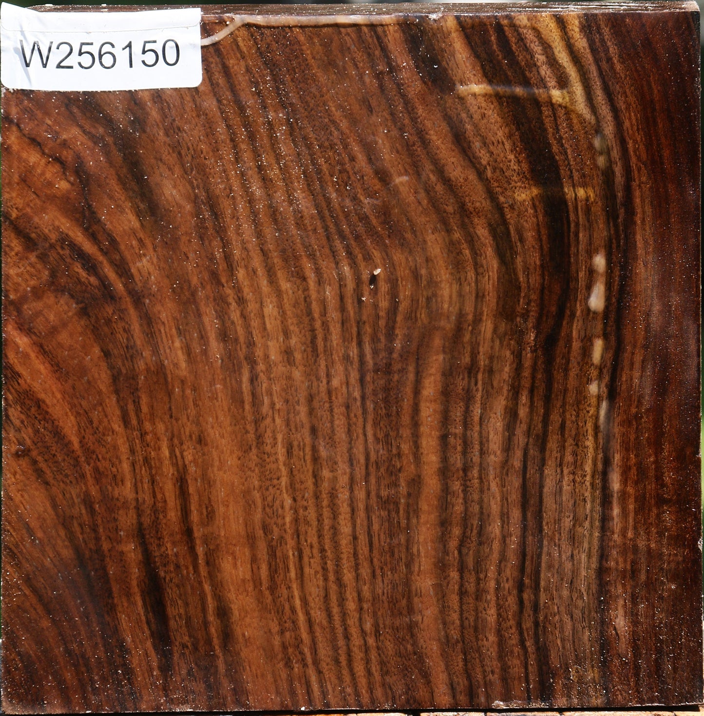 Claro Walnut Bowl Blank