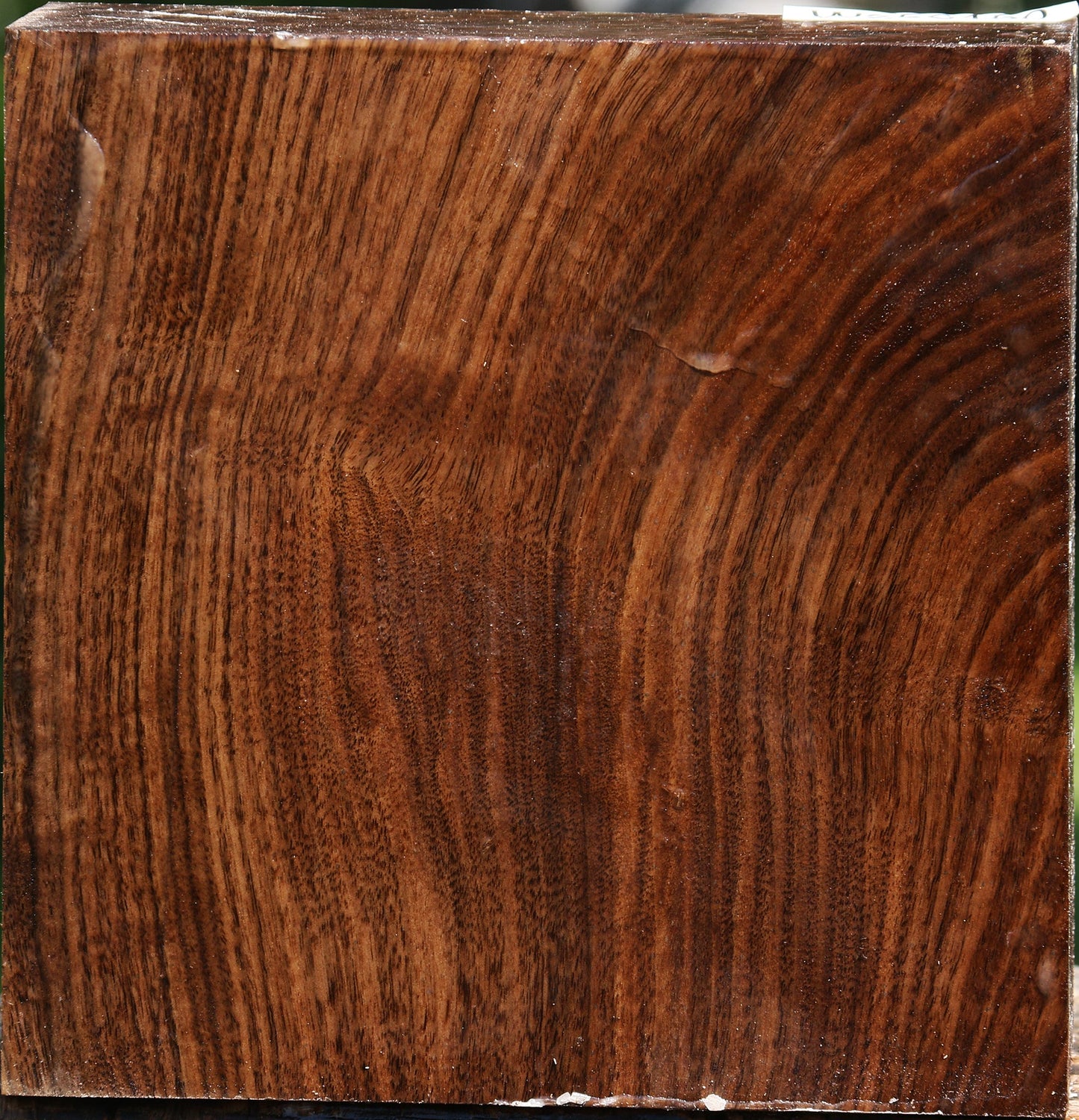 Claro Walnut Bowl Blank