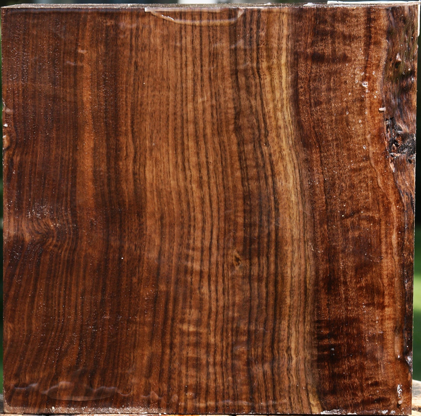 Figured Claro Walnut Bowl Blank