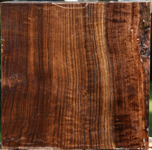 Figured Claro Walnut Bowl Blank