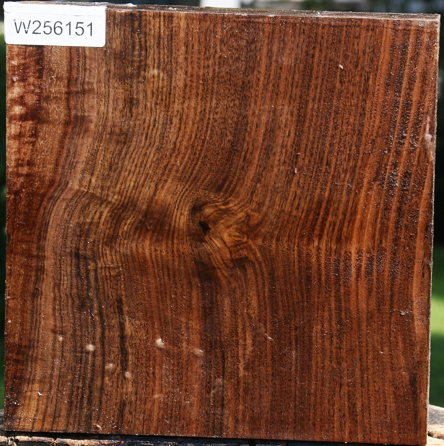 Figured Claro Walnut Bowl Blank