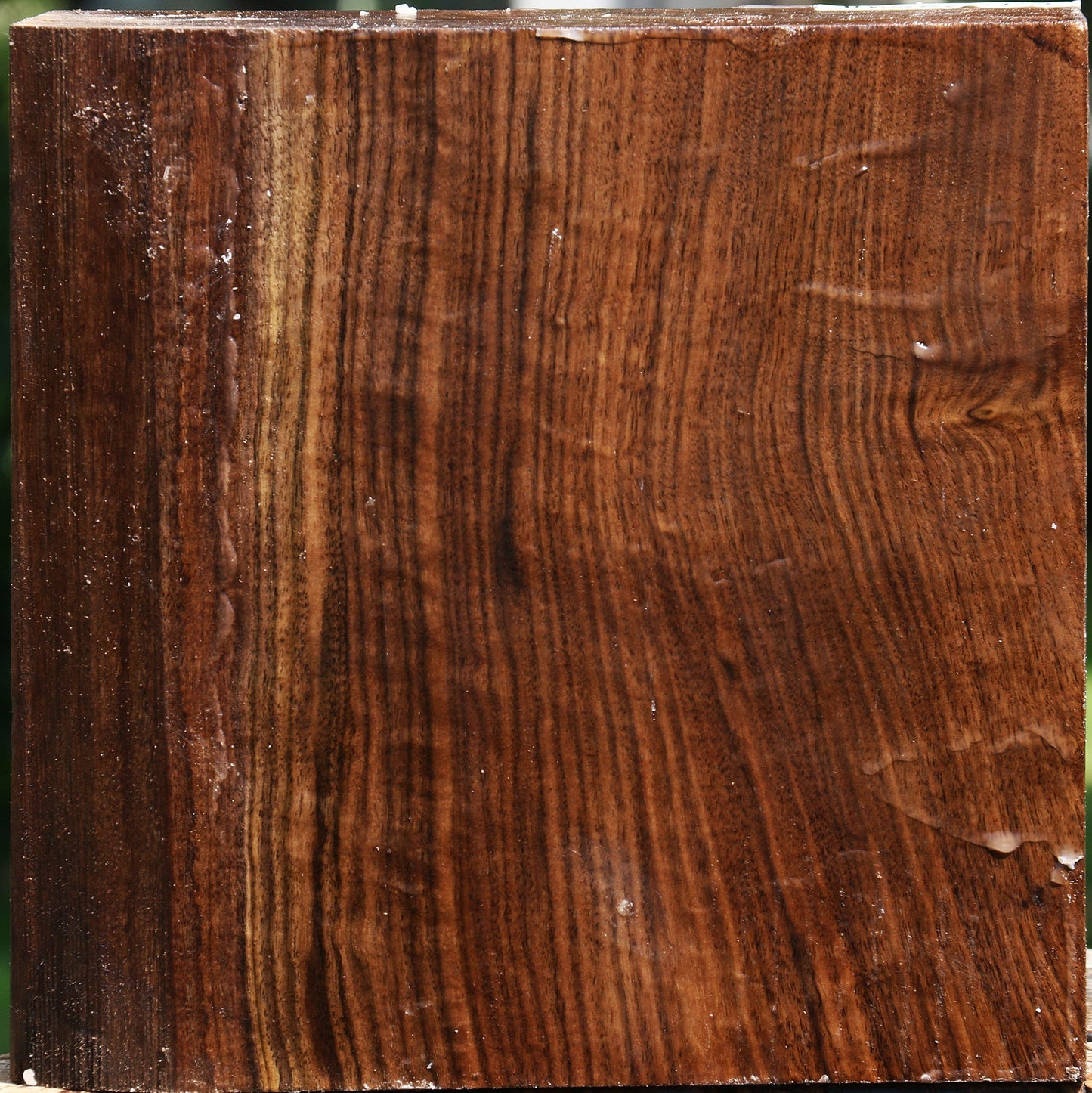 Claro Walnut Bowl Blank