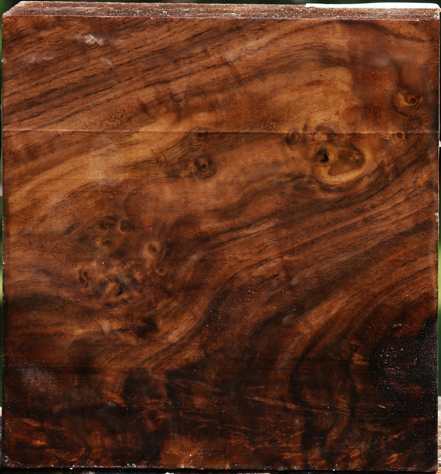Figured Claro Walnut Bowl Blank