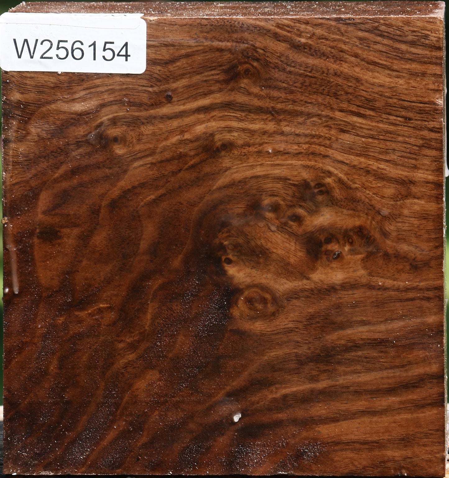 Figured Claro Walnut Bowl Blank