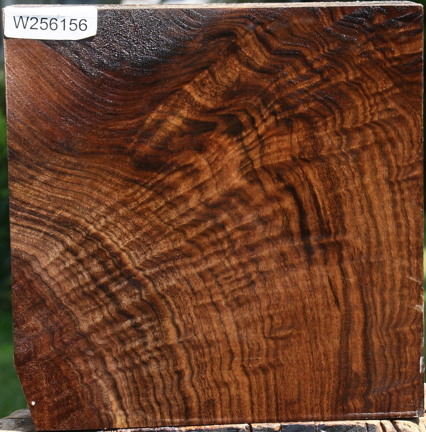 Extra Fancy Claro Walnut Bowl Blank