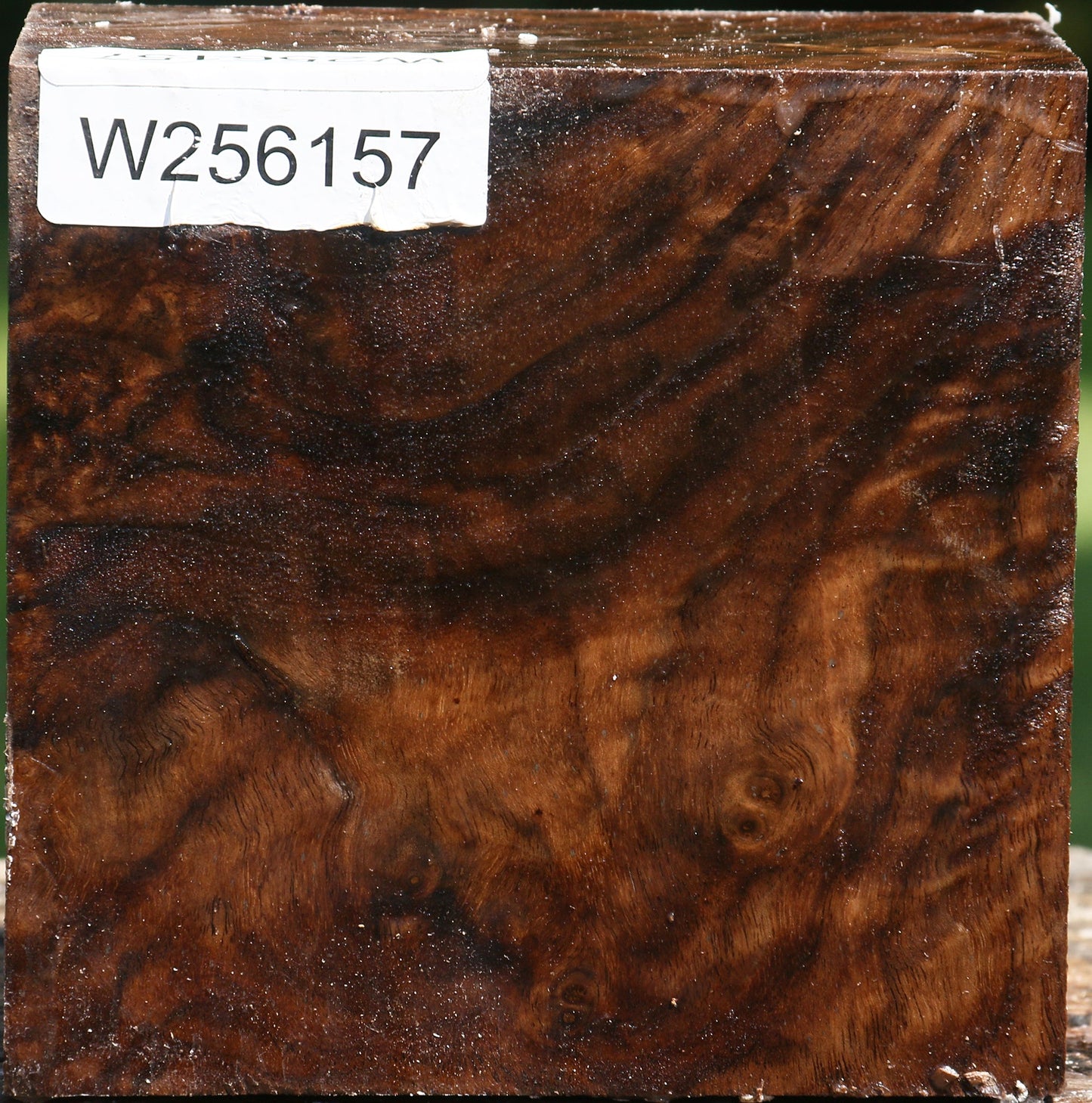 Figured Claro Walnut Bowl Blank