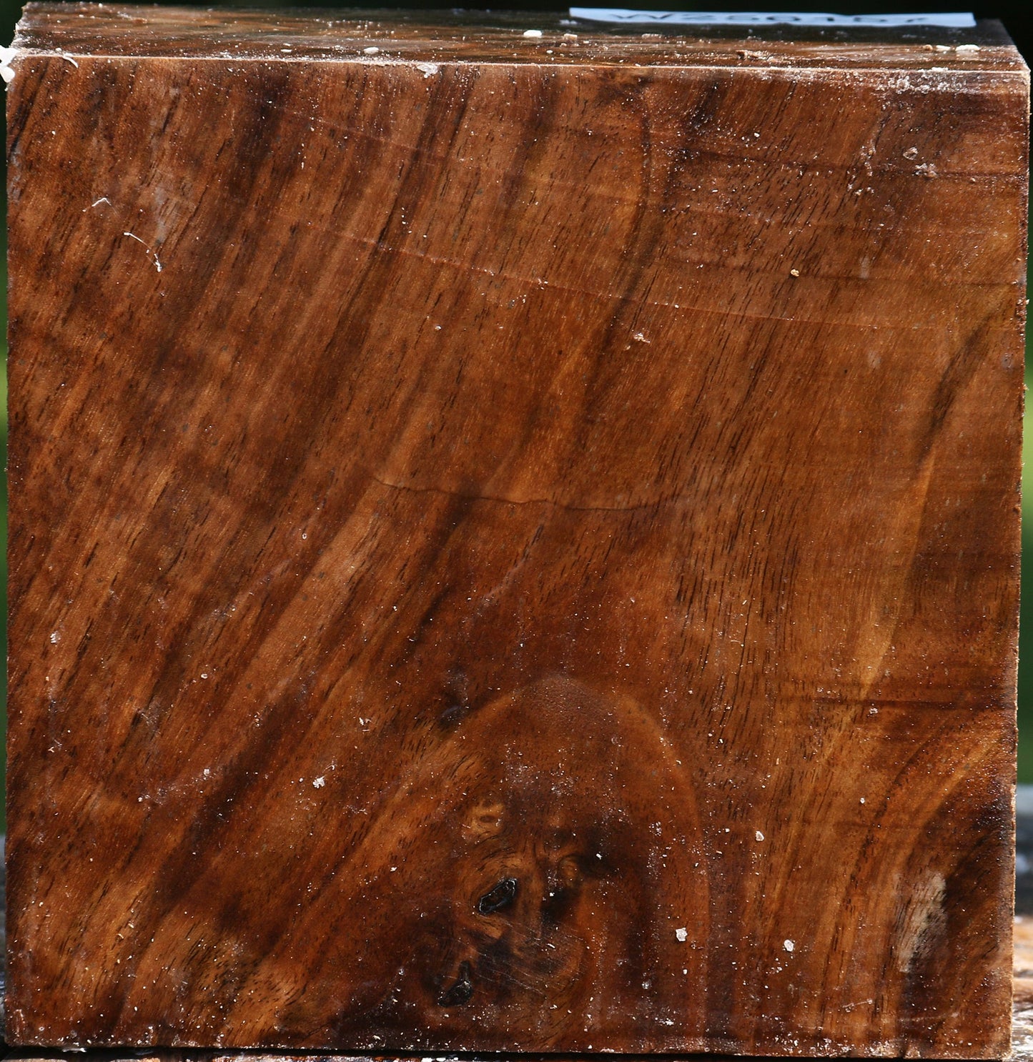 Figured Claro Walnut Bowl Blank