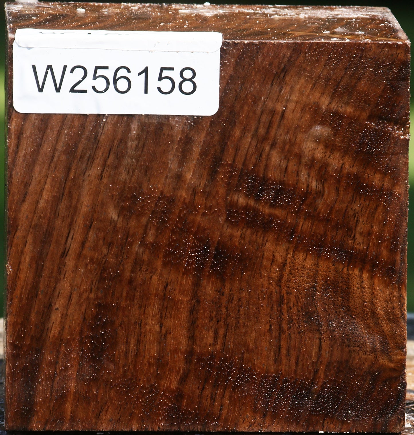 Figured Claro Walnut Bowl Blank