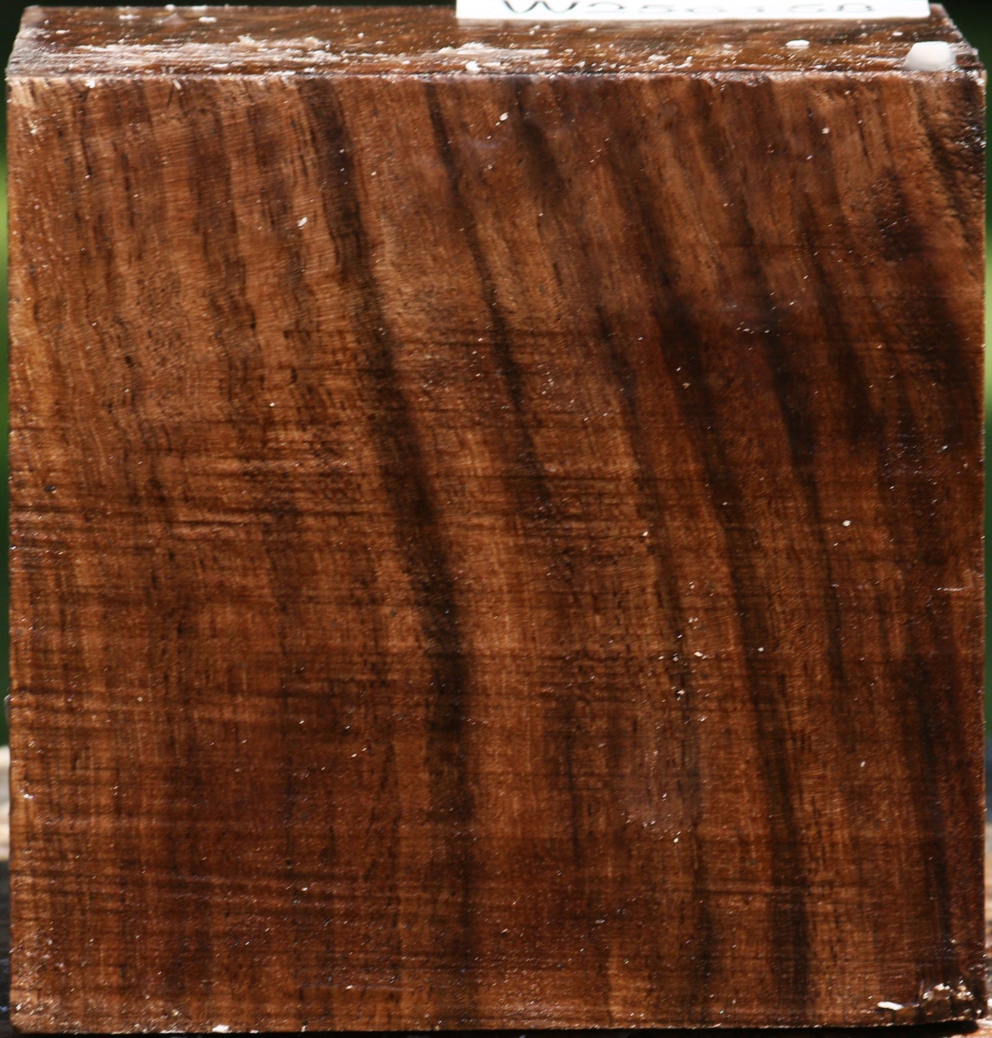 Figured Claro Walnut Bowl Blank