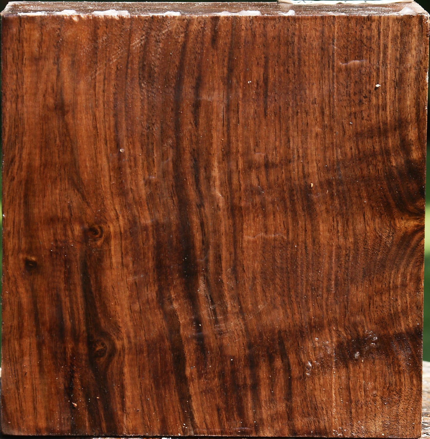 Figured Claro Walnut Bowl Blank