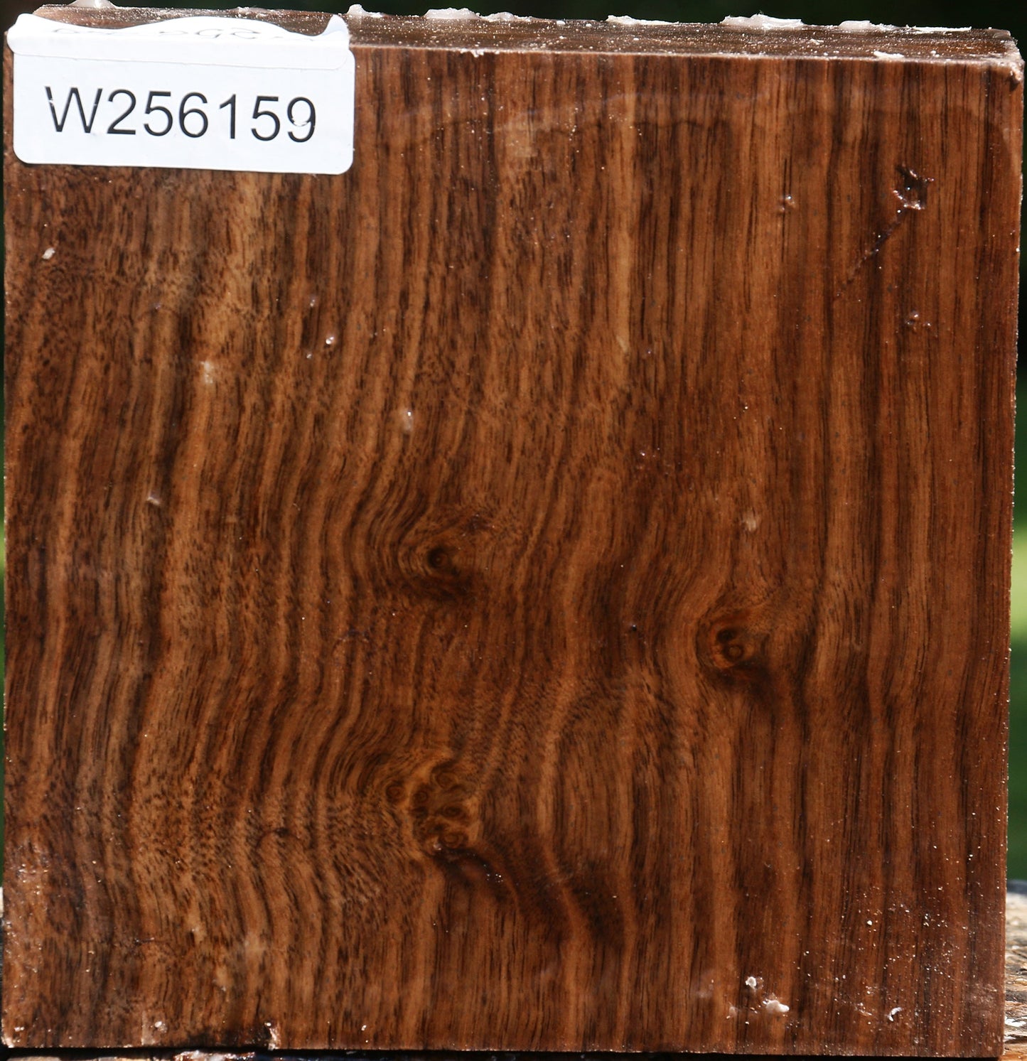 Figured Claro Walnut Bowl Blank