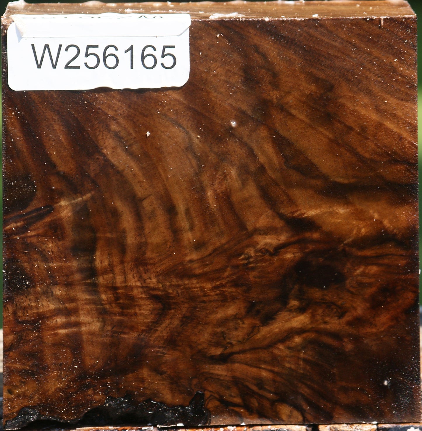 Claro Walnut Bowl Blank