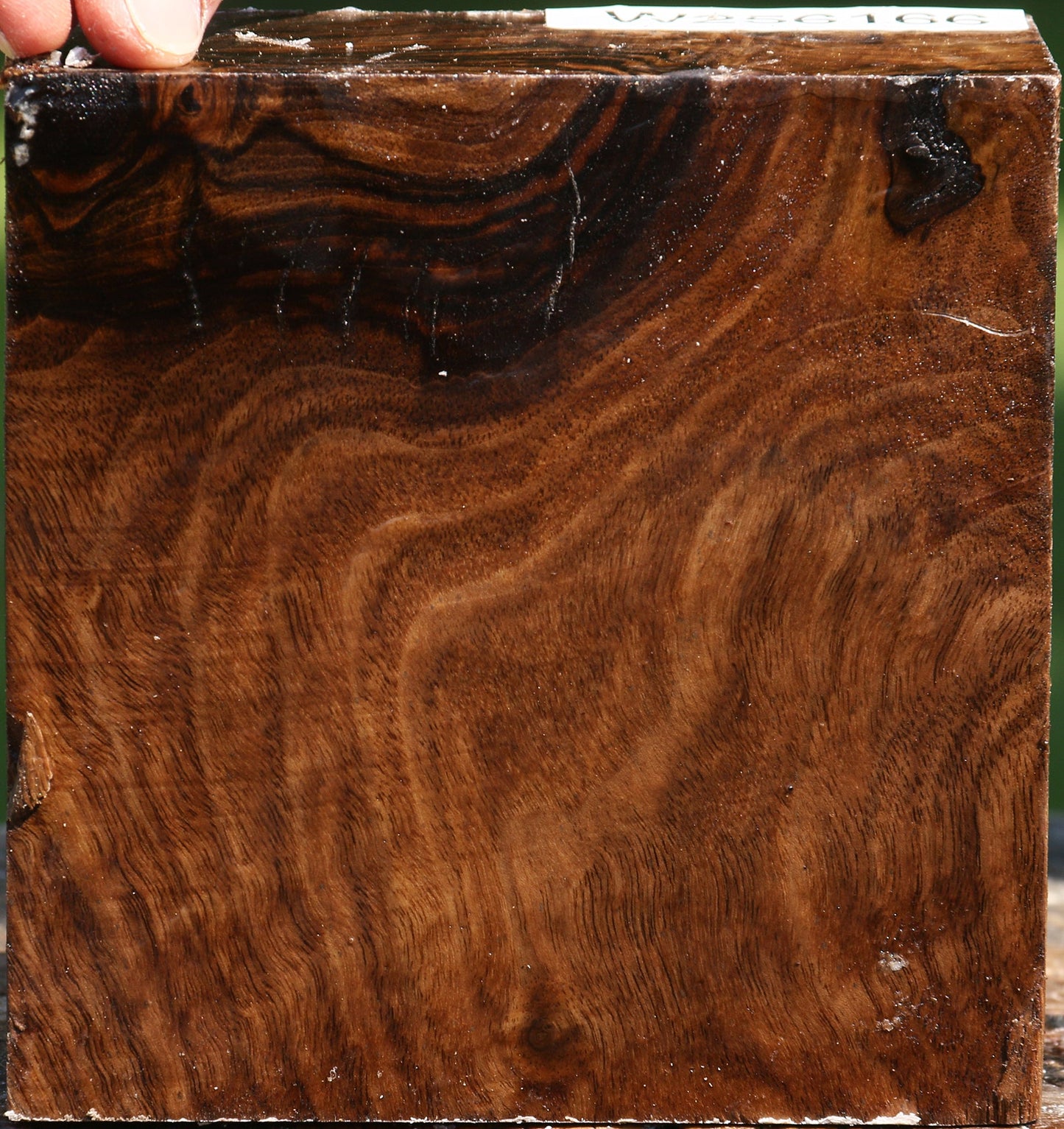 Figured Claro Walnut Bowl Blank
