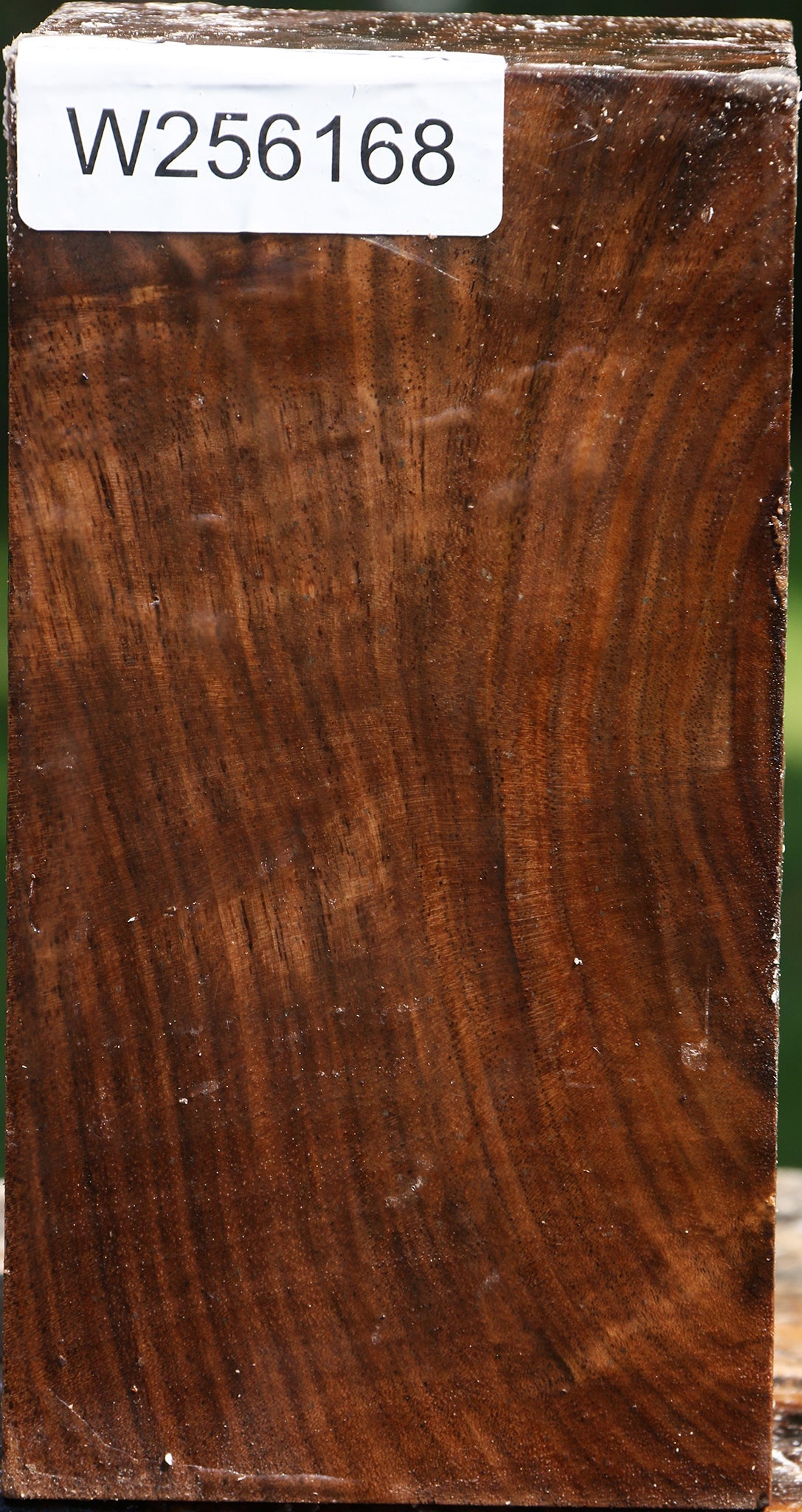 Figured Claro Walnut Turning Blank