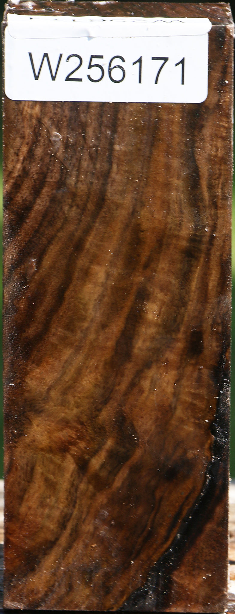 Extra Fancy Claro Walnut Turning Square