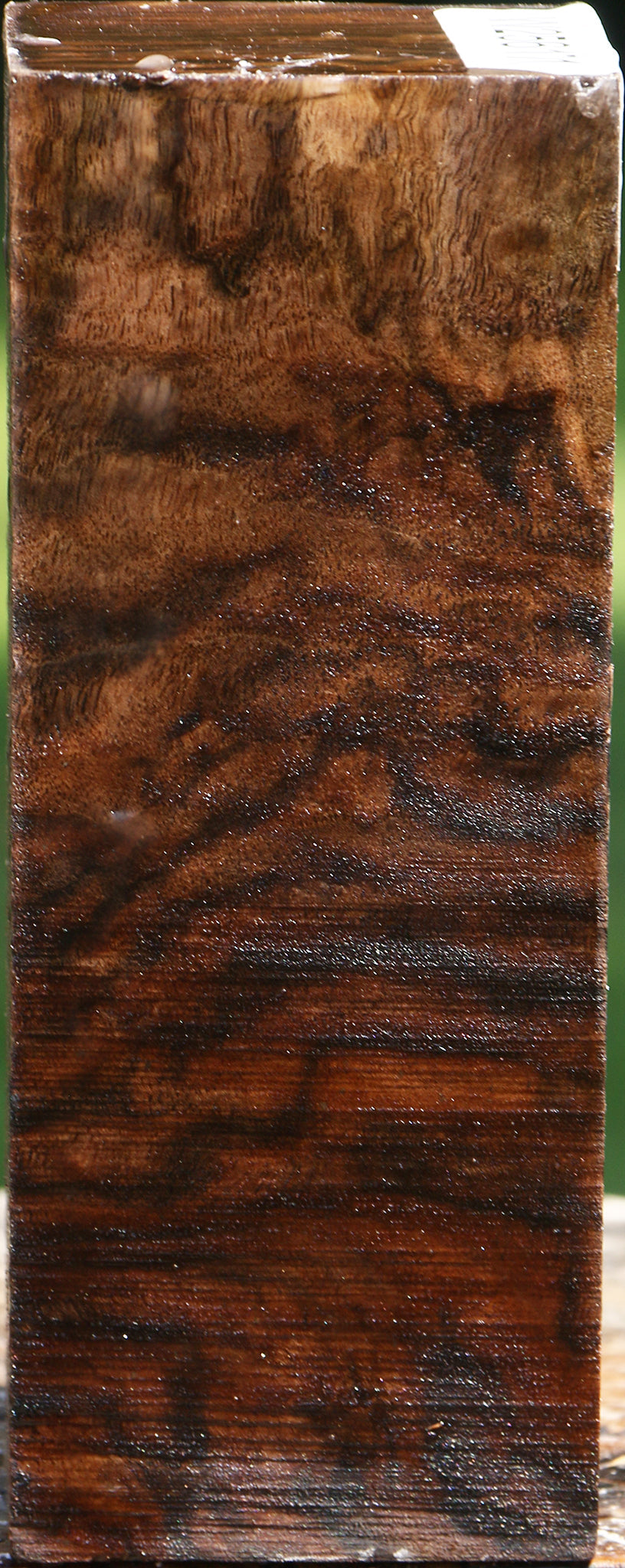 Extra Fancy Claro Walnut Turning Square