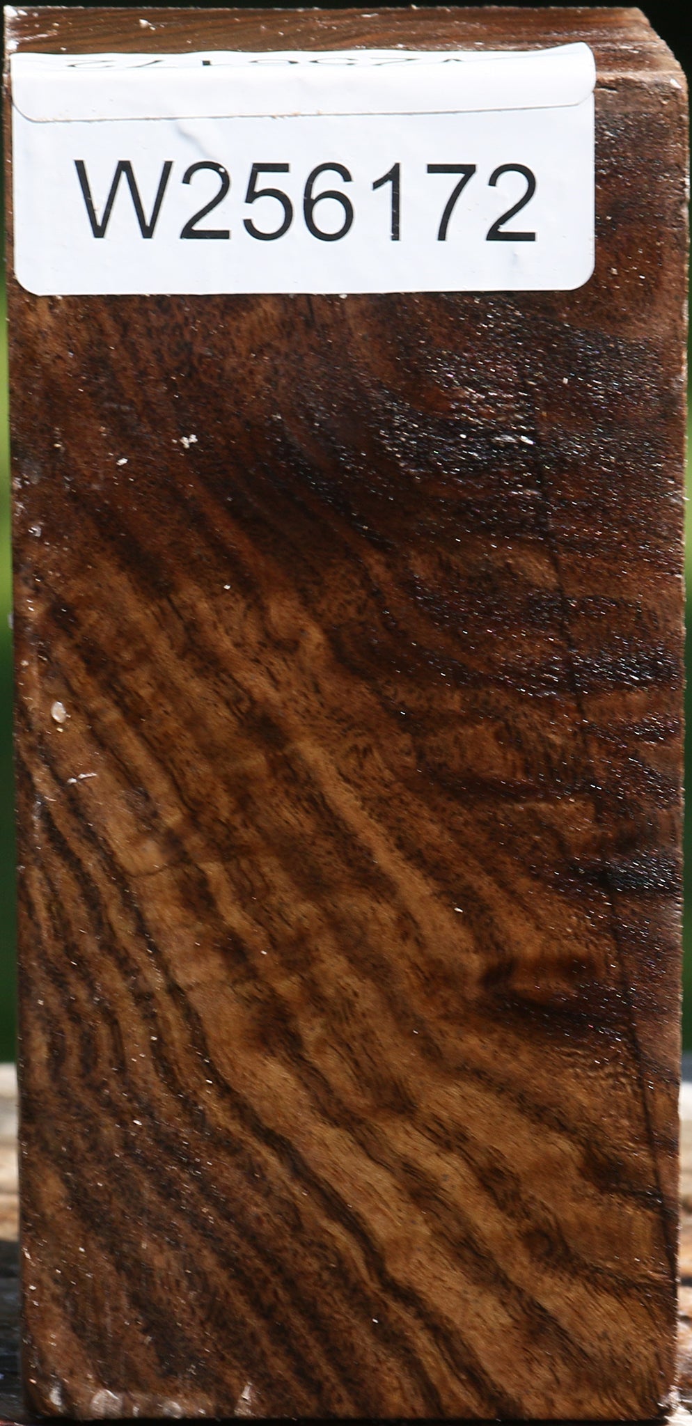 Claro Walnut Bowl Blank